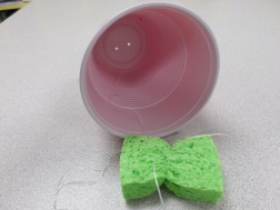 SAMSUNG CAMERA PICTURES